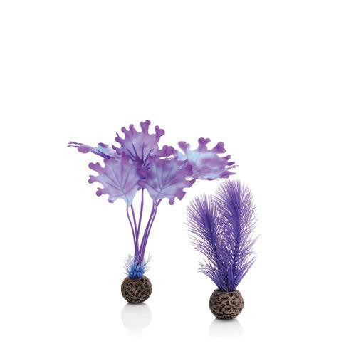 Small Kelp Plant Set purple