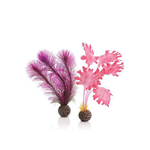 Small Kelp Plant Set pink