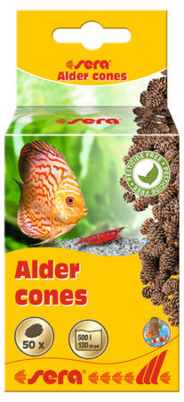 sera alder cones for sale |Splashy Fish