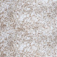 Sera Artemia Mix Eggs 0.6 Oz.