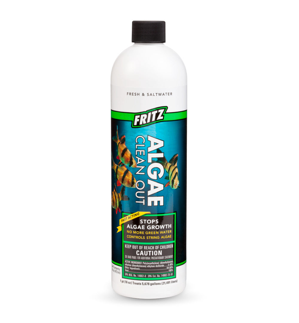 Fritz Algae Clean Out 16oz for sale | Splashy Fish