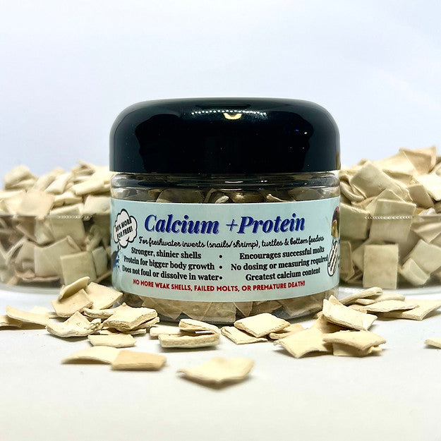 KatsAquatics Calcium + Protein For Sale | Splashy Fish