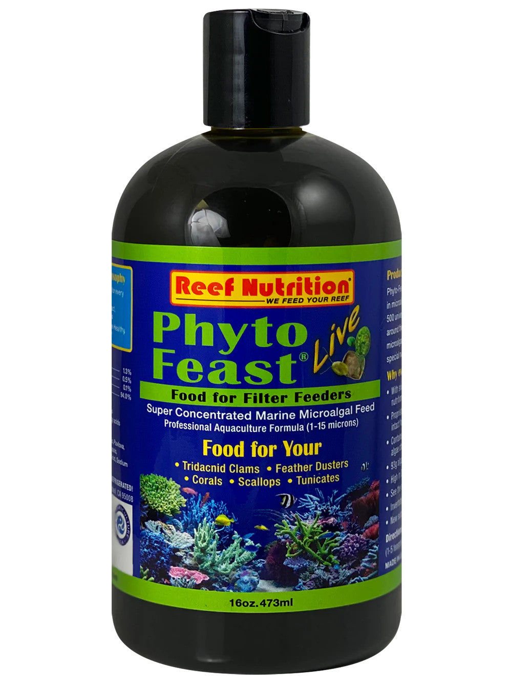 Reef Nutrition Phyto-Feast Live 16oz for sale | Splashy Fish