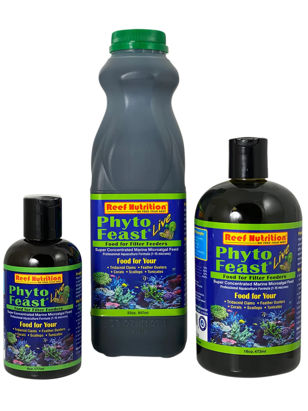 Reef Nutrition Phyto-Feast Live for sale | Splashy Fish