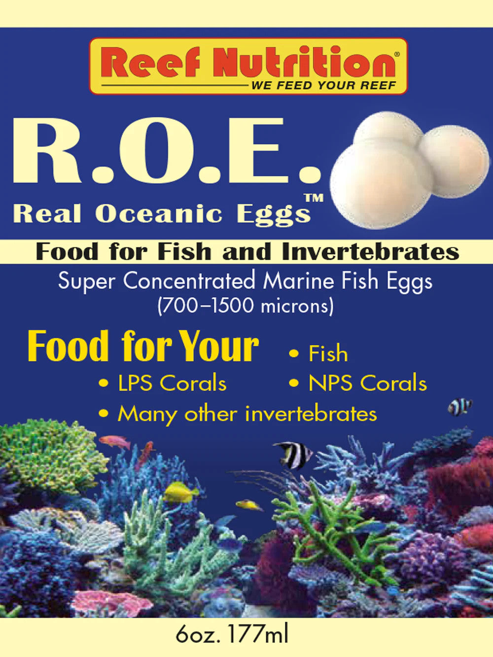 Reef Nutrition R.O.E. - Real Oceanic Eggs for sale | Splashy Fish