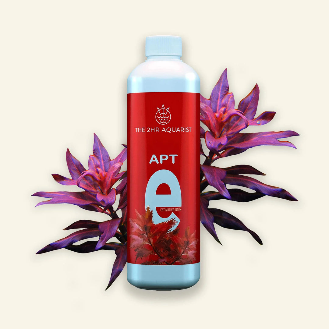 2Hr Aquarist APT e for sale | Splashy Fish