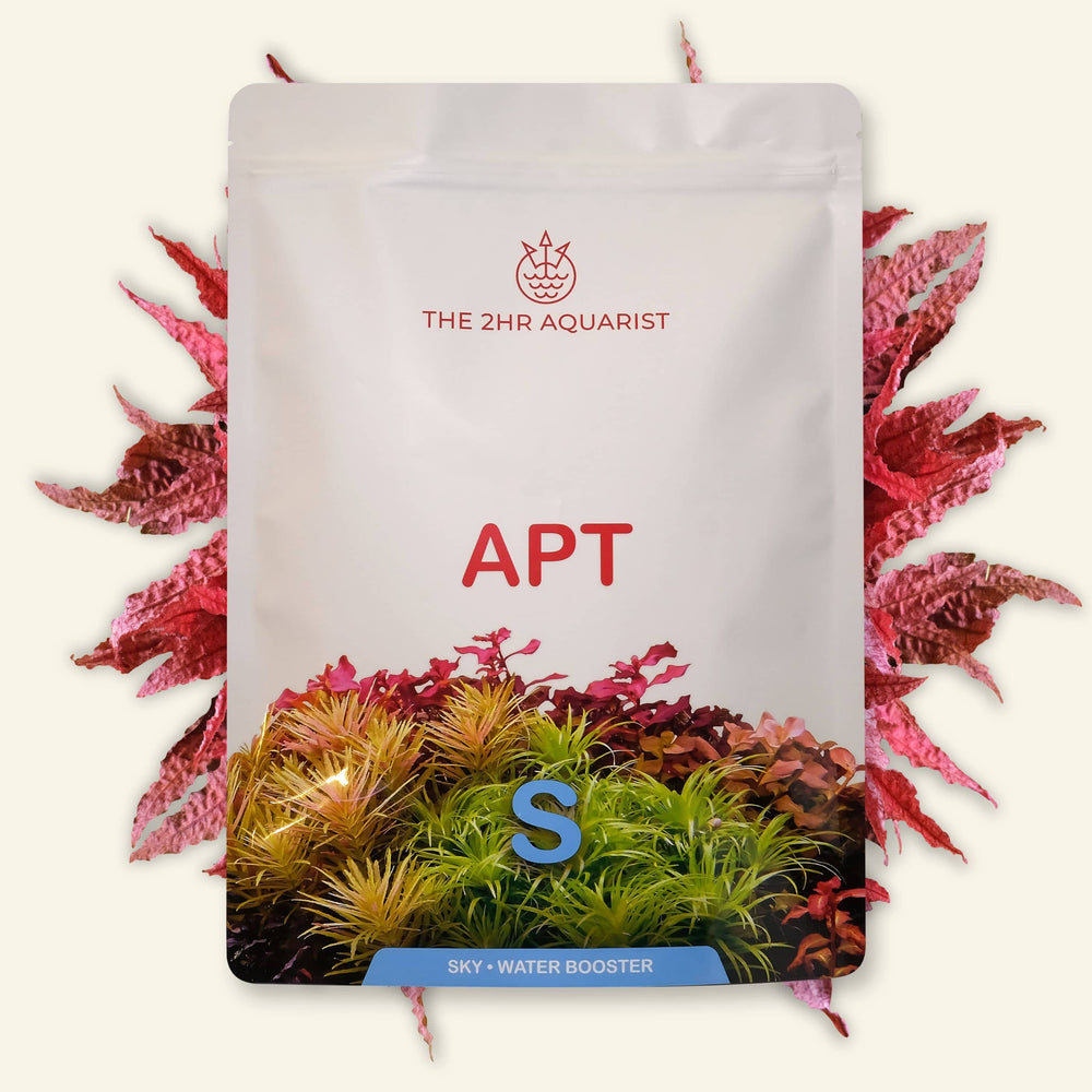 2Hr Aquarist APT SKY for sale | Splashy Fish