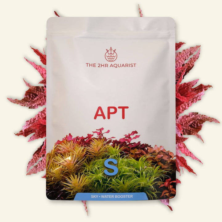 2Hr Aquarist APT SKY for sale | Splashy Fish