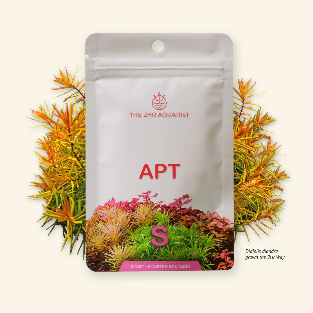2Hr Aquarist APT Start for sale | Splashy Fish