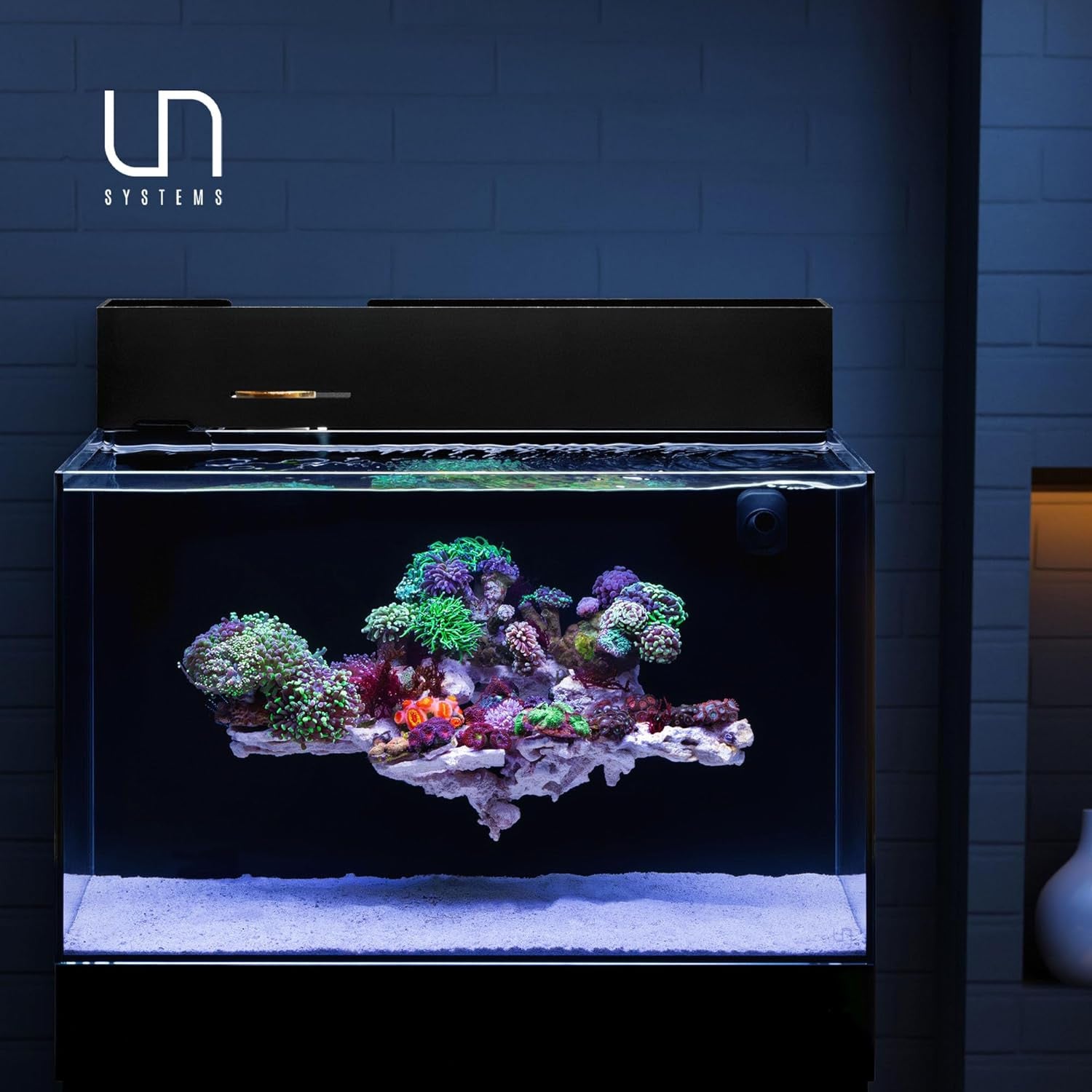 UNS Rimless AIO Aquariums Fresh and Marine DUAL Tanks for sale | Splashy Fish