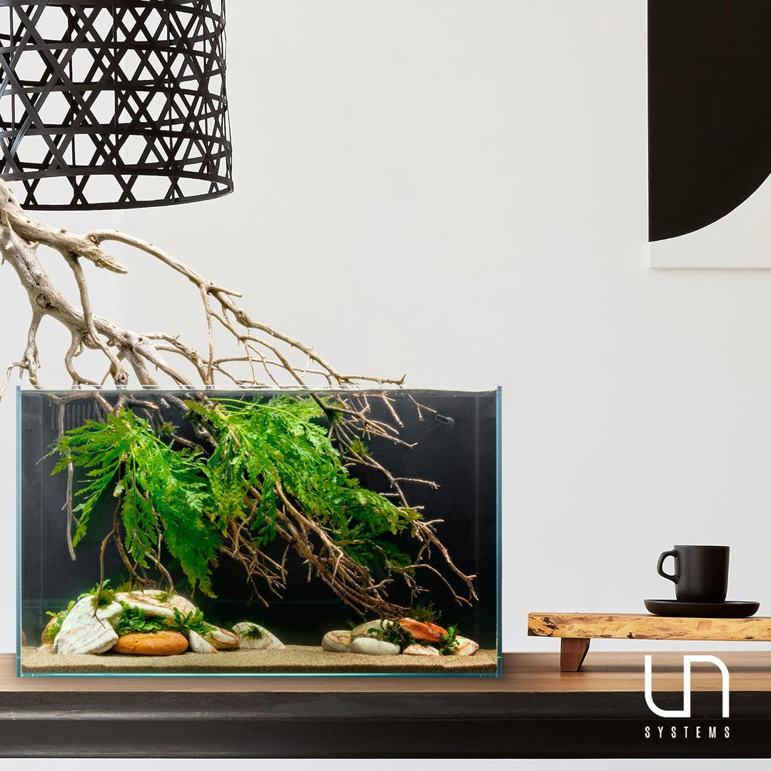 Uns Rimless Tank Fish UNS Rimless AIO Aquariums Fresh and Marine DUAL Tanks For Sale | Fish ...