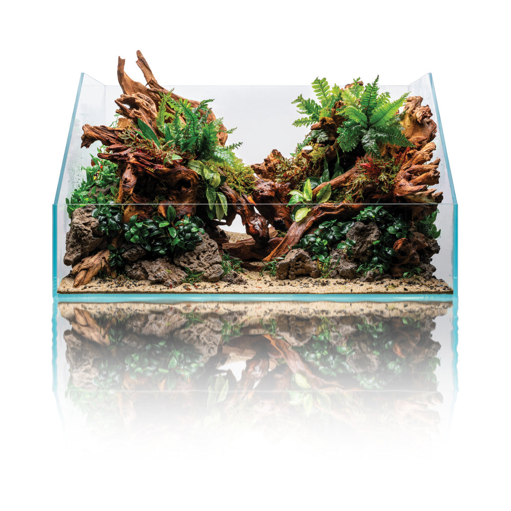 UNS Rimless Paludariums 60E for sale | Splashy Fish