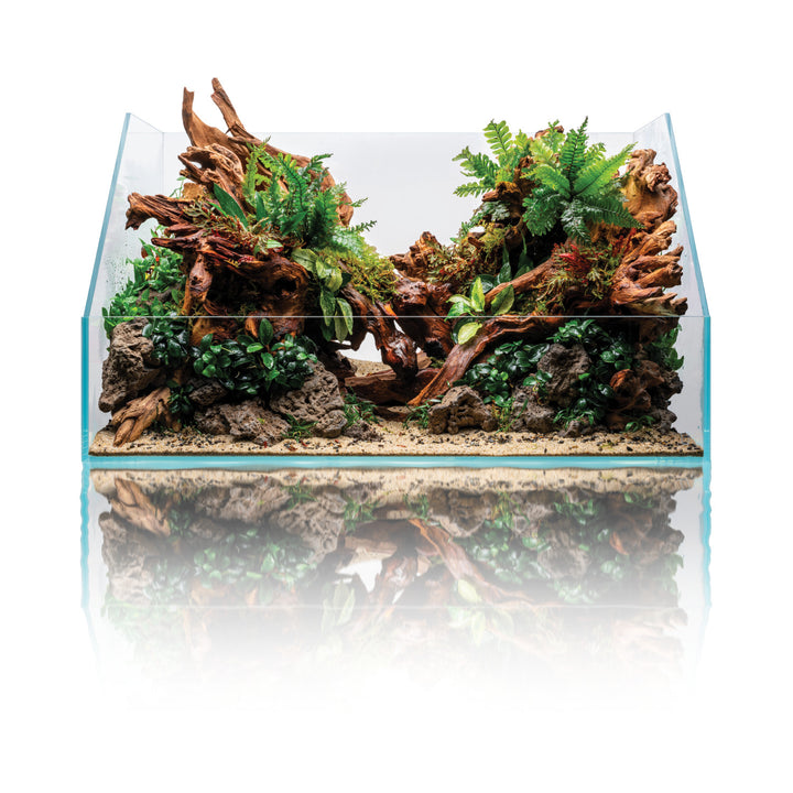 UNS Rimless Paludariums 60E for sale | Splashy Fish