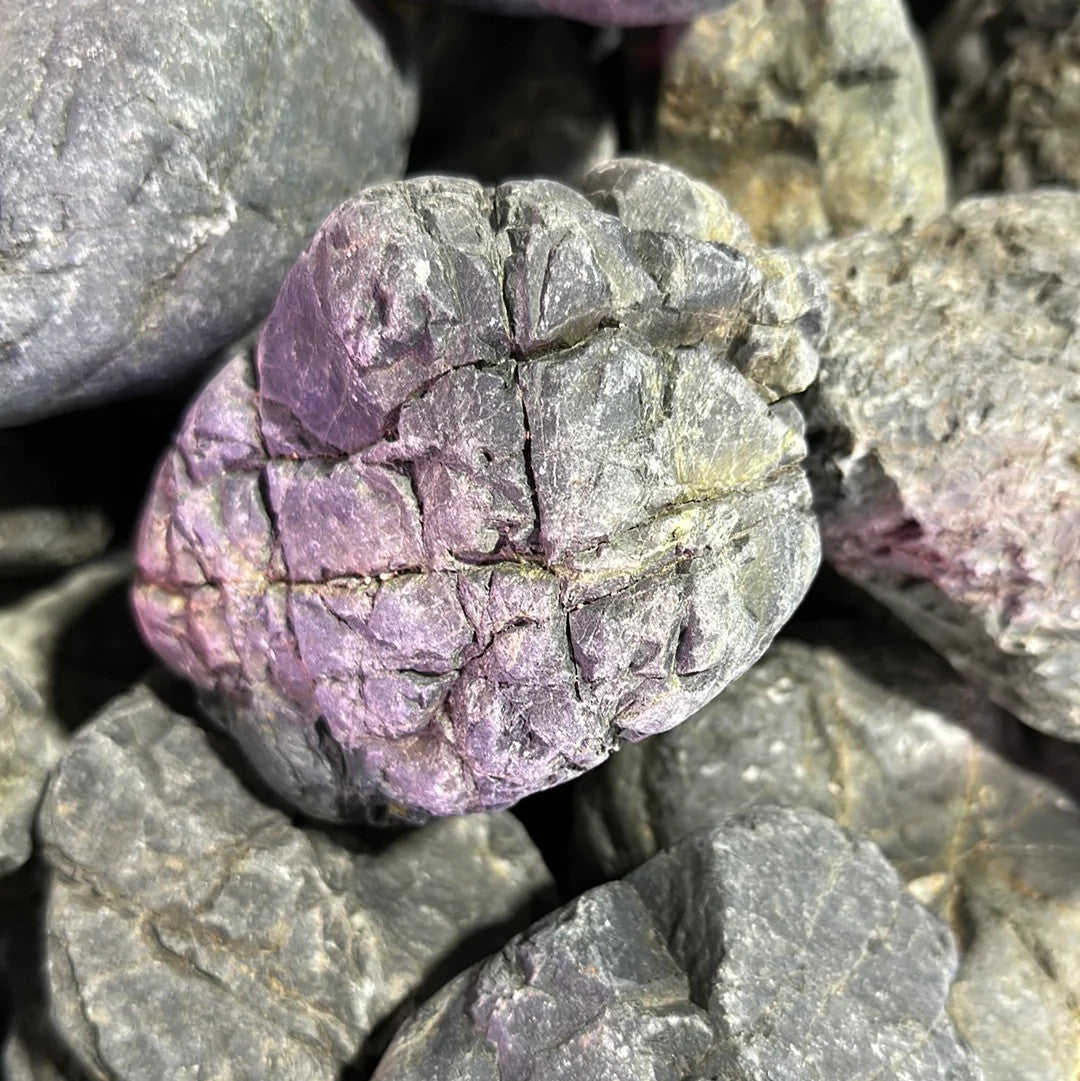 Gotland Stone For Sale | Aquascaping Supply