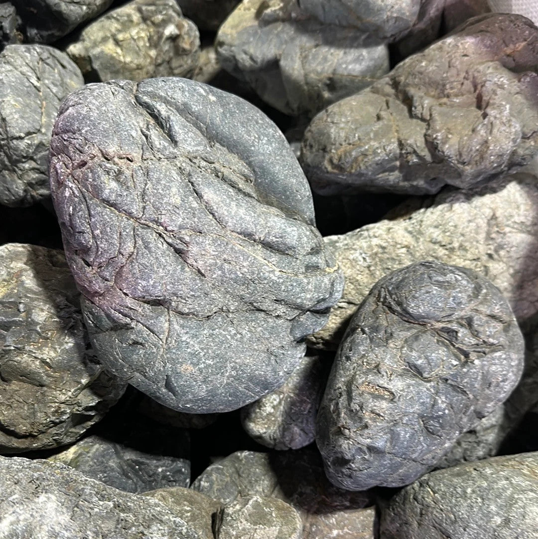 Gotland Stone For Sale | Aquascaping Supply