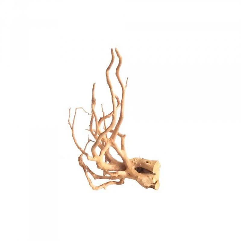 Pisces USA Aqua Natural Spiderwood for sale