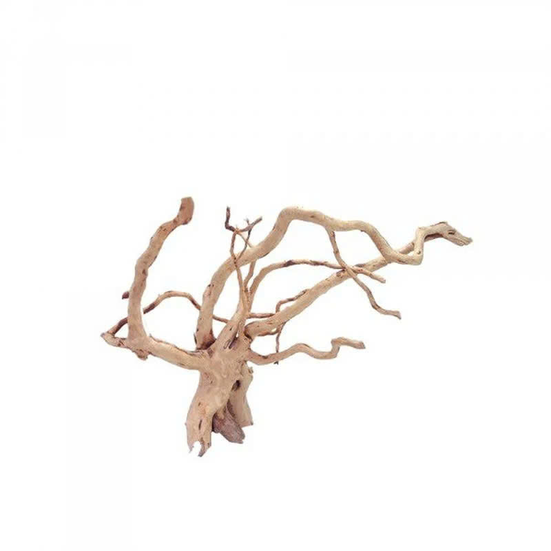 Pisces USA Aqua Natural Spiderwood for sale