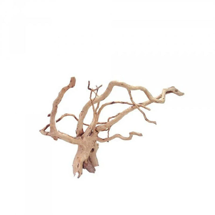 Pisces USA Aqua Natural Spiderwood for sale