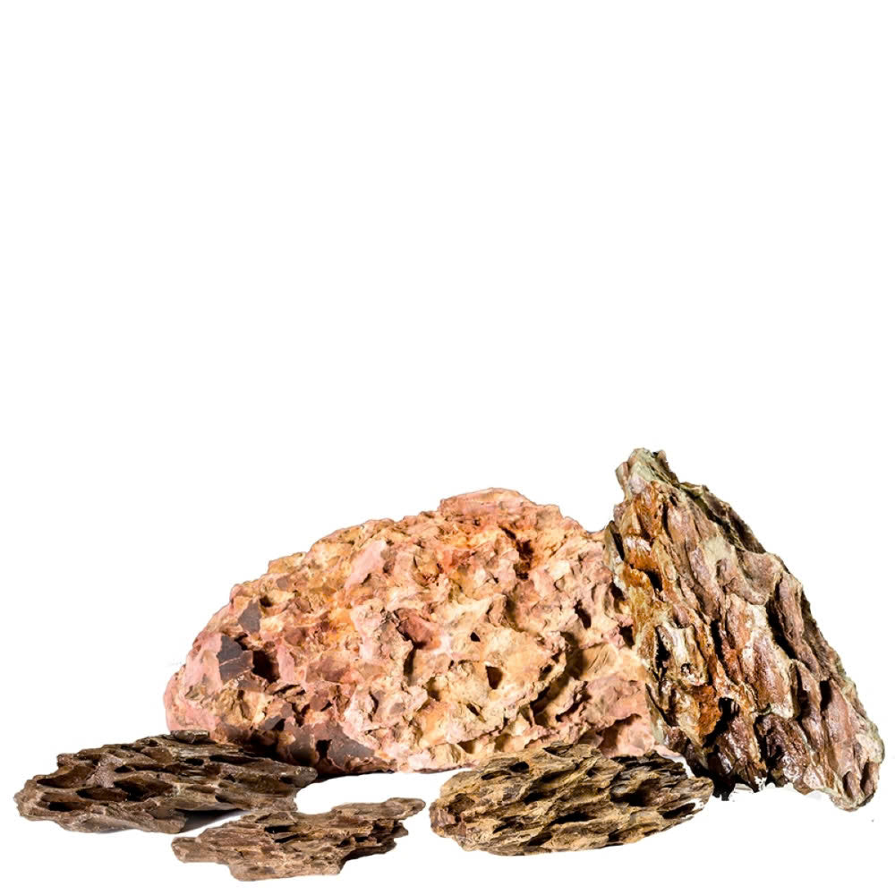 Pisces USA Aqua Natural Dragon Rock for sale | Splashy Fish