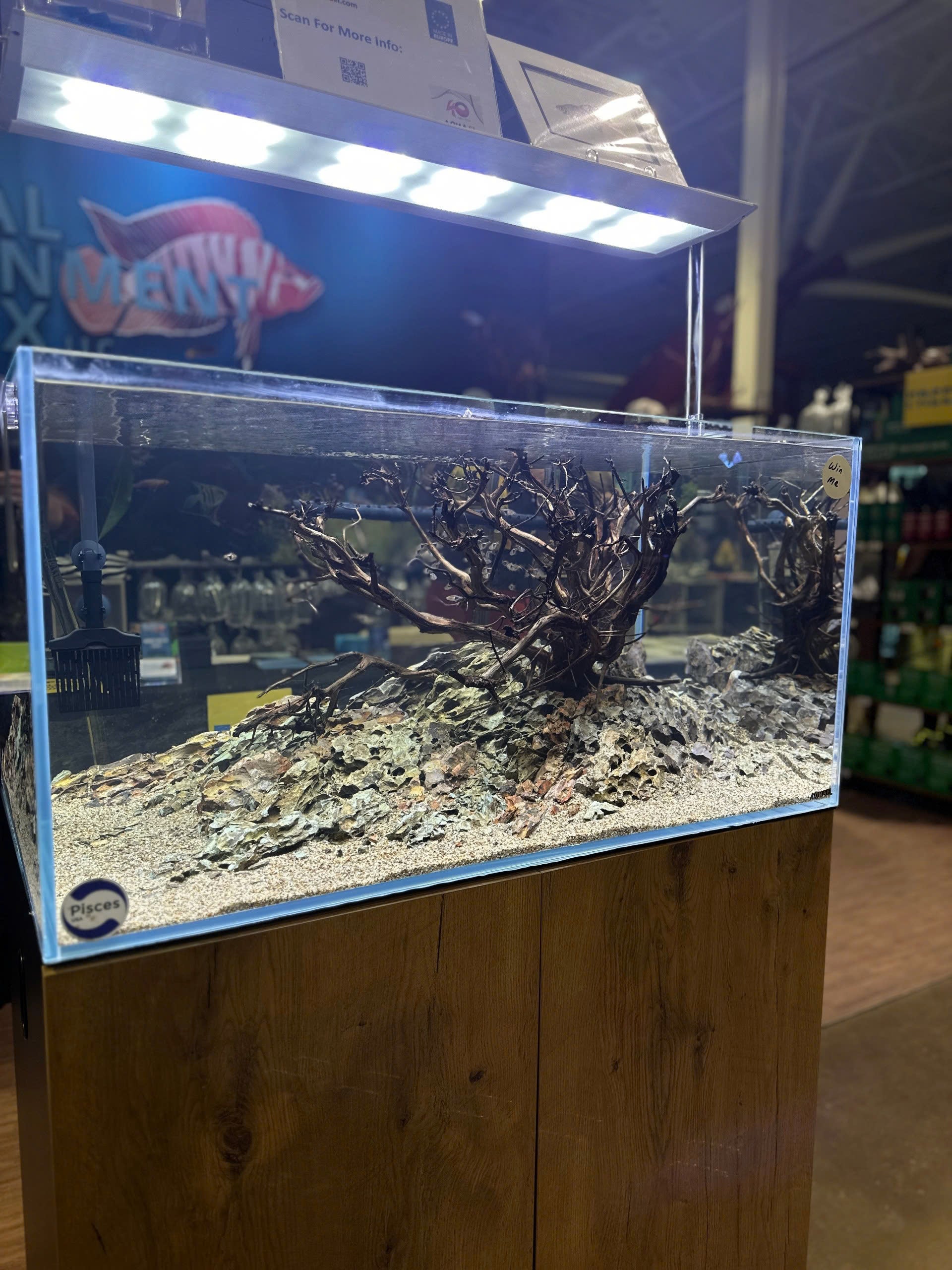 Pisces USA Aqua Natural Dragon Rock for sale | Splashy Fish