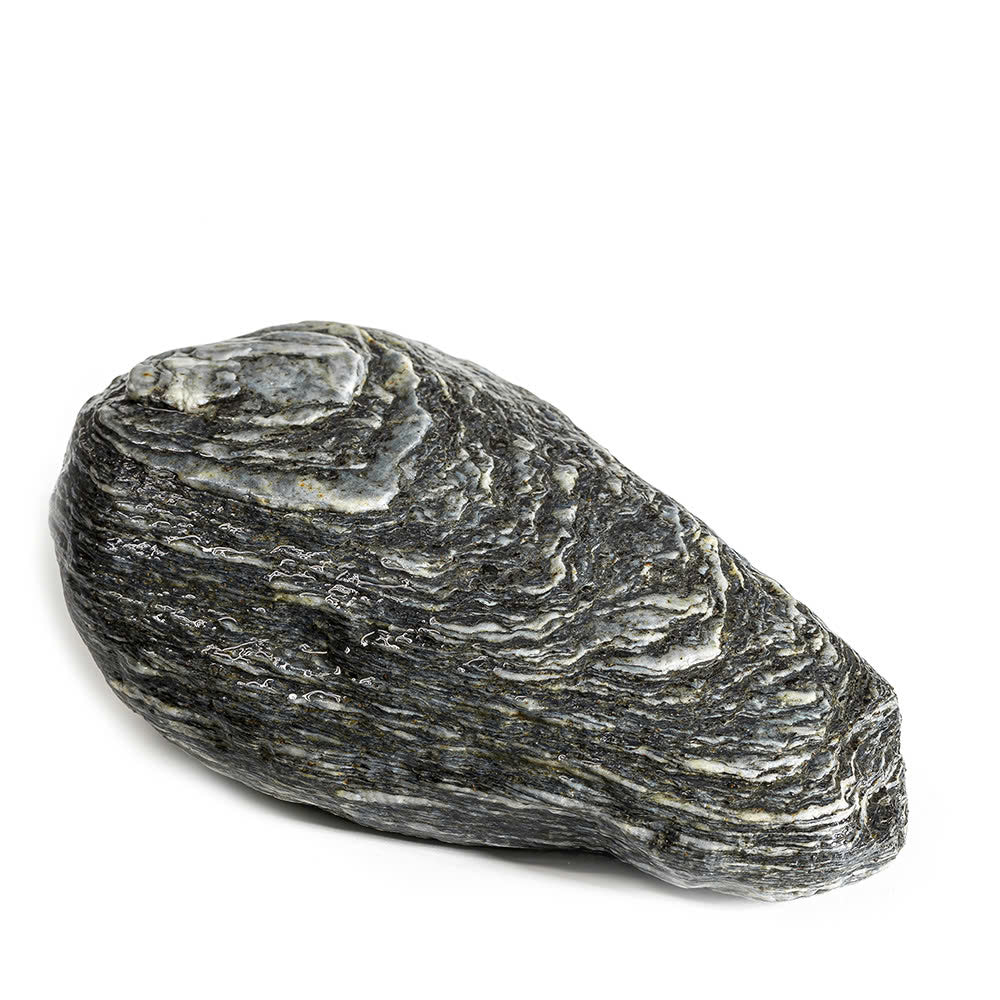 Pisces USA Aqua Natural Alpine Silver Rock