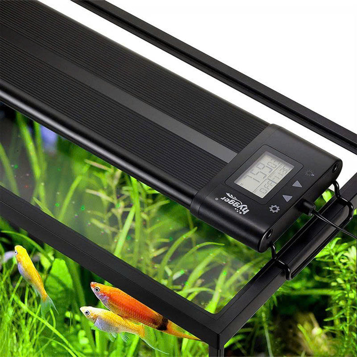 Hygger Planted Aquarium Lighting 24/7 Light for sale | Splashy Fish