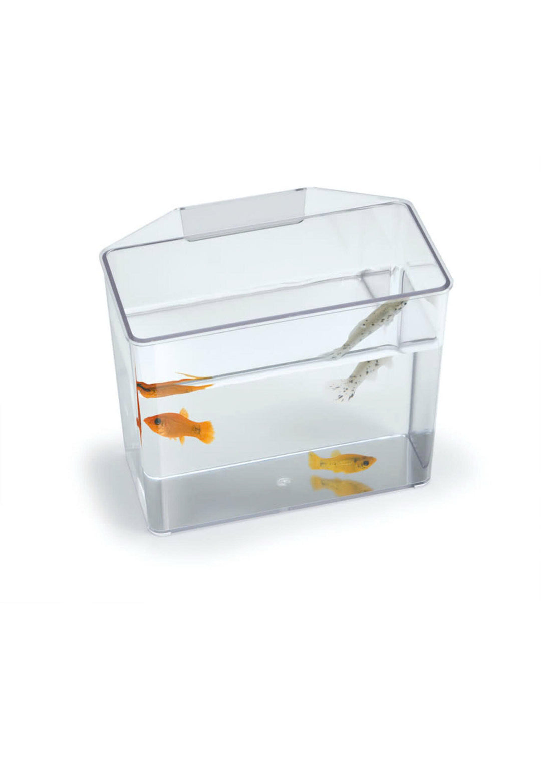 Lee's SPECIMEN CONTAINER SM HVY DUTY for sale