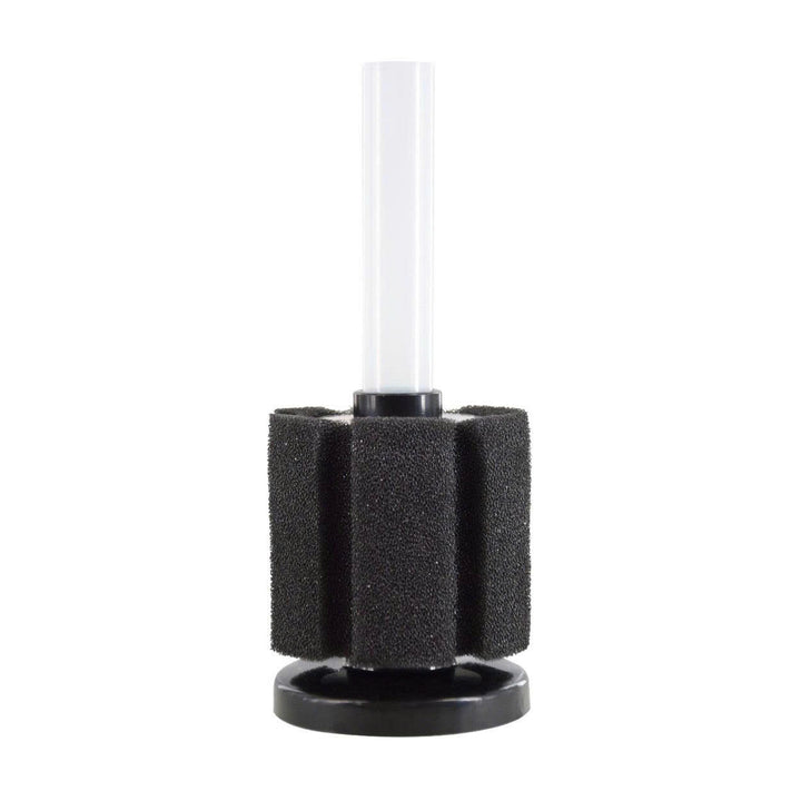 Seapora Sponge Filter