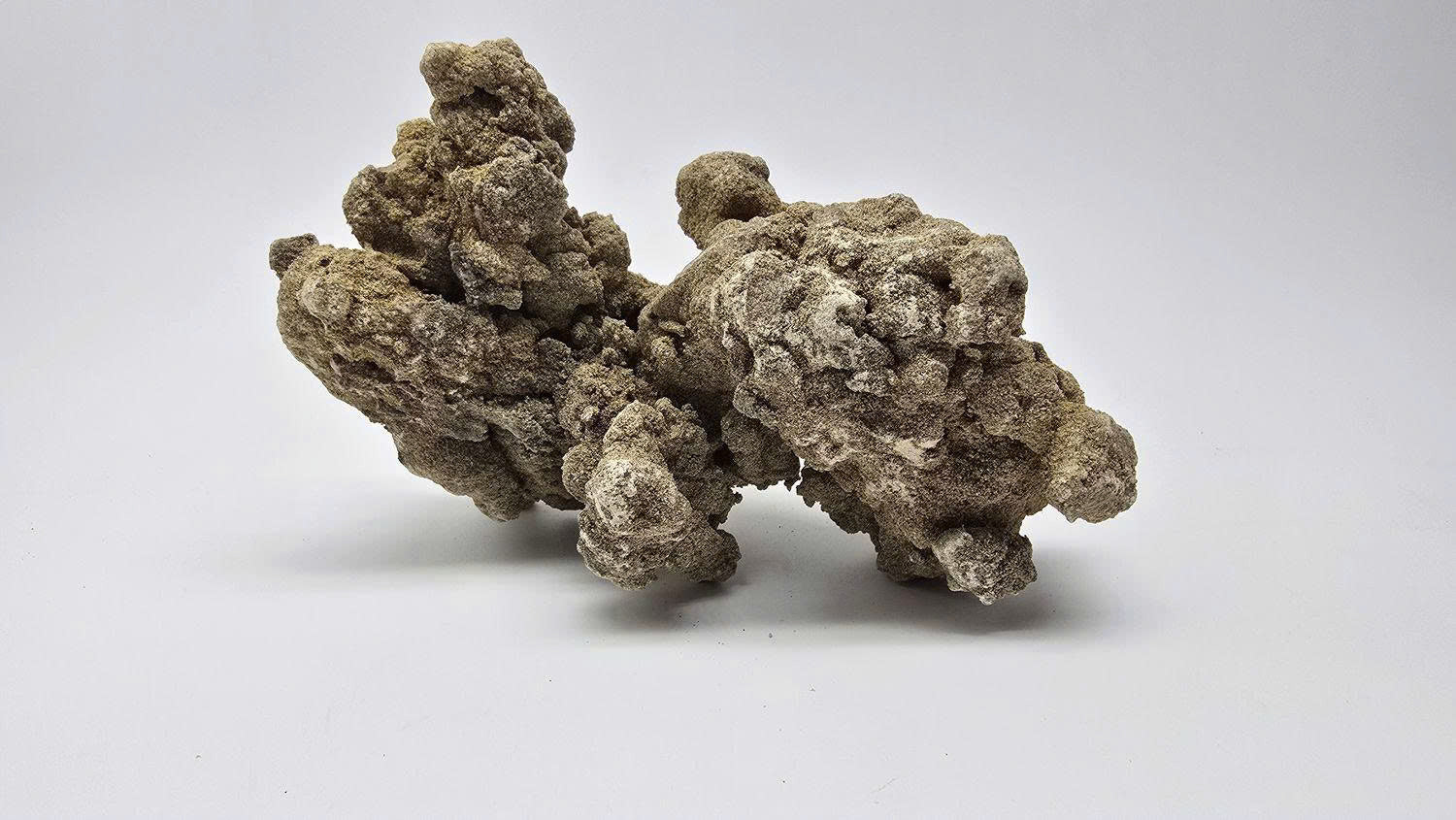 Pisces USA Aqua Natural Talus Rock