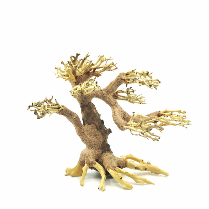 Aquarium Bonsai Tree | Bonsai Driftwood | driftwood bonsai aquarium