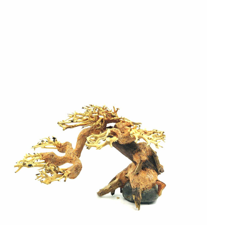Aquarium Bonsai Tree | Driftwood Bonsai For Sale | aquarium driftwood for sale near me | aquarium driftwood near me |  aquarium driftwood roots aquarium live tree |  aquarium plants for driftwood