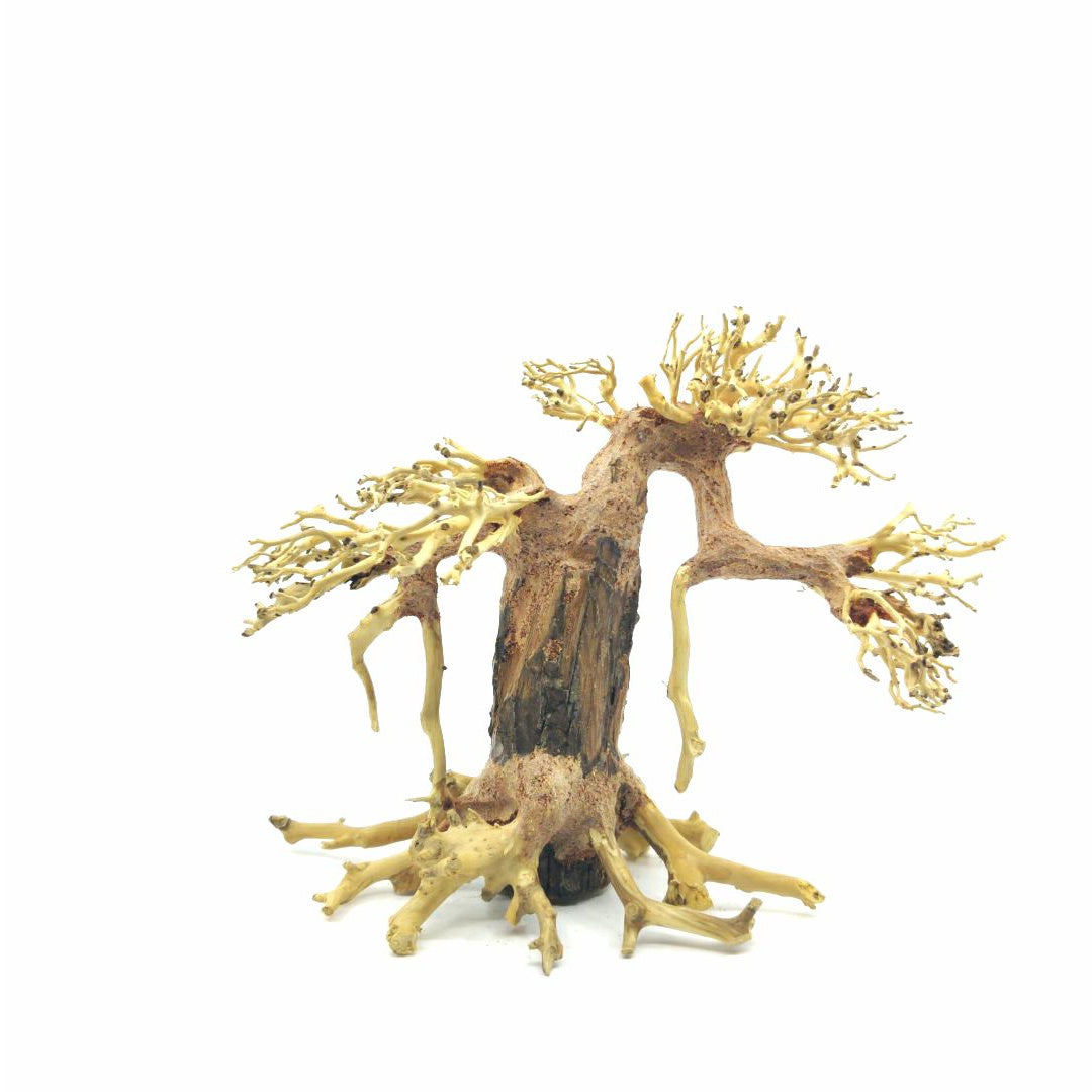 Aquarium Driftwood Tree | Driftwood for Sale | aquarium bonsai driftwood for sale | bonsai driftwood aquarium tree aquarium bonsai tree driftwood