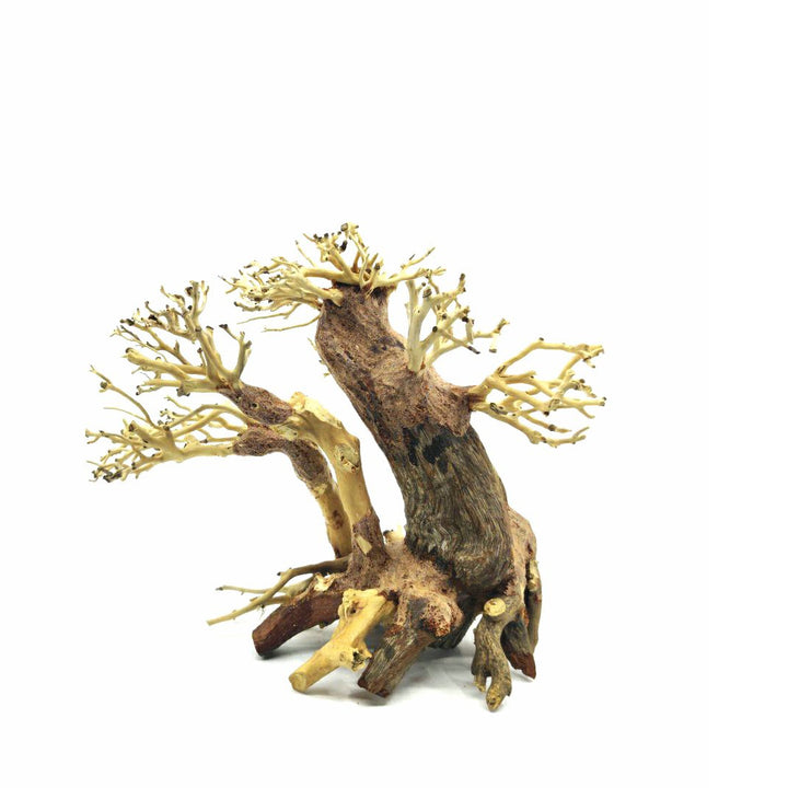 Aquascape Aquarium Bonsai Tree | Aquarium Wood | aquarium bonsai | bonsai tank