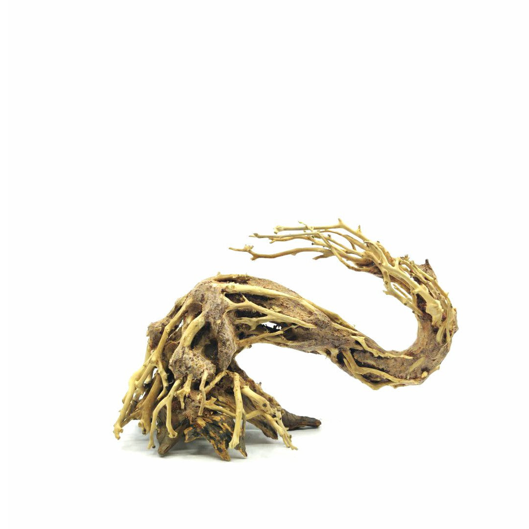 Medium Size Dragon's Tail Bonsai Driftwood Tree M095