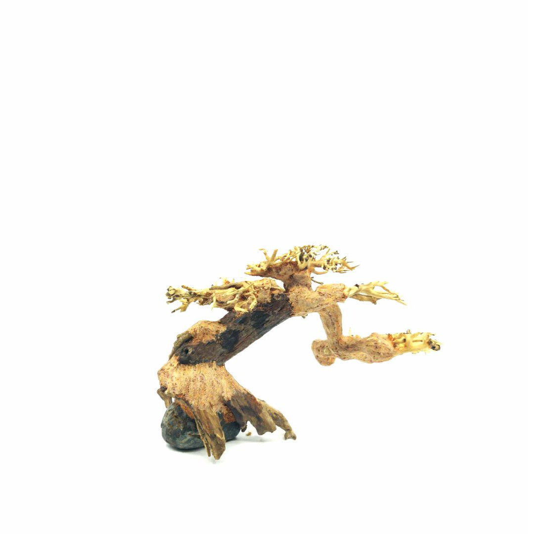 Aquarium Bonsai Tree | Driftwood For Aquarium