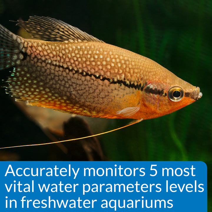 API FRESHWATER MASTER TEST KIT | Nitrogen Cycle Monitor