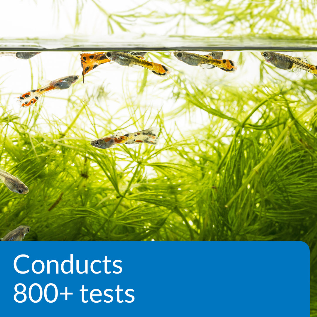 API FRESHWATER MASTER TEST KIT Freshwater Fish Tank Supplies