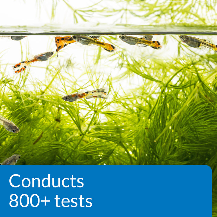 API FRESHWATER MASTER TEST KIT Freshwater Fish Tank Supplies