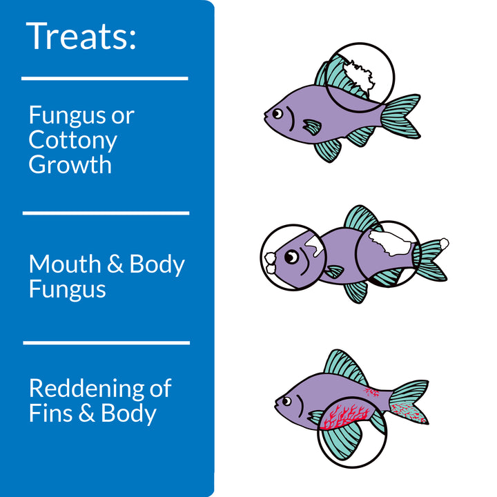 API Pimafix  | Freshwater Aquarium Fish