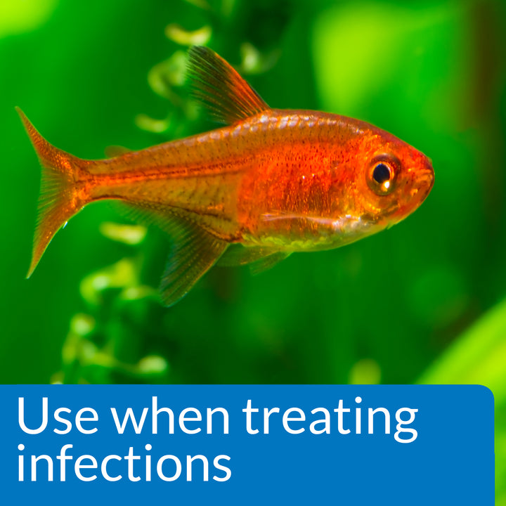 API MELAFIX | Freshwater Fish Infections