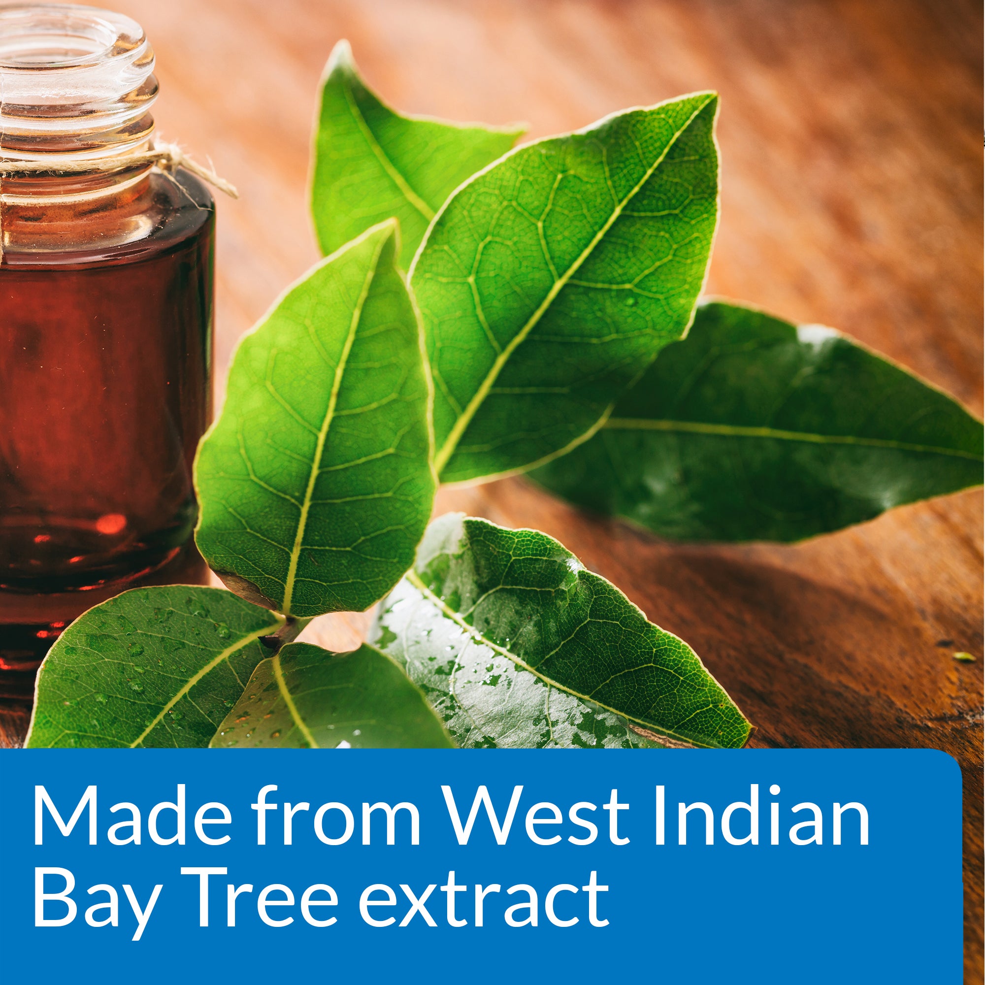 API MELAFIX Ingredience | West Indian Bay Tree