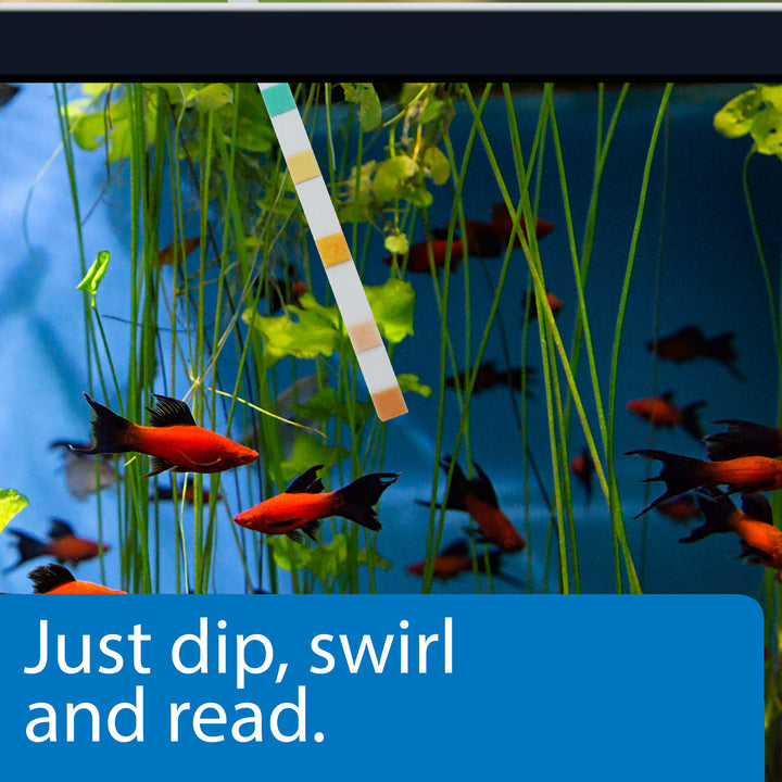 API 5-IN-1 TEST STRIPS | Aquarium Test Strips