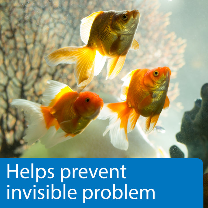 API 5-IN-1 TEST STRIPS Aquarium Test Strips