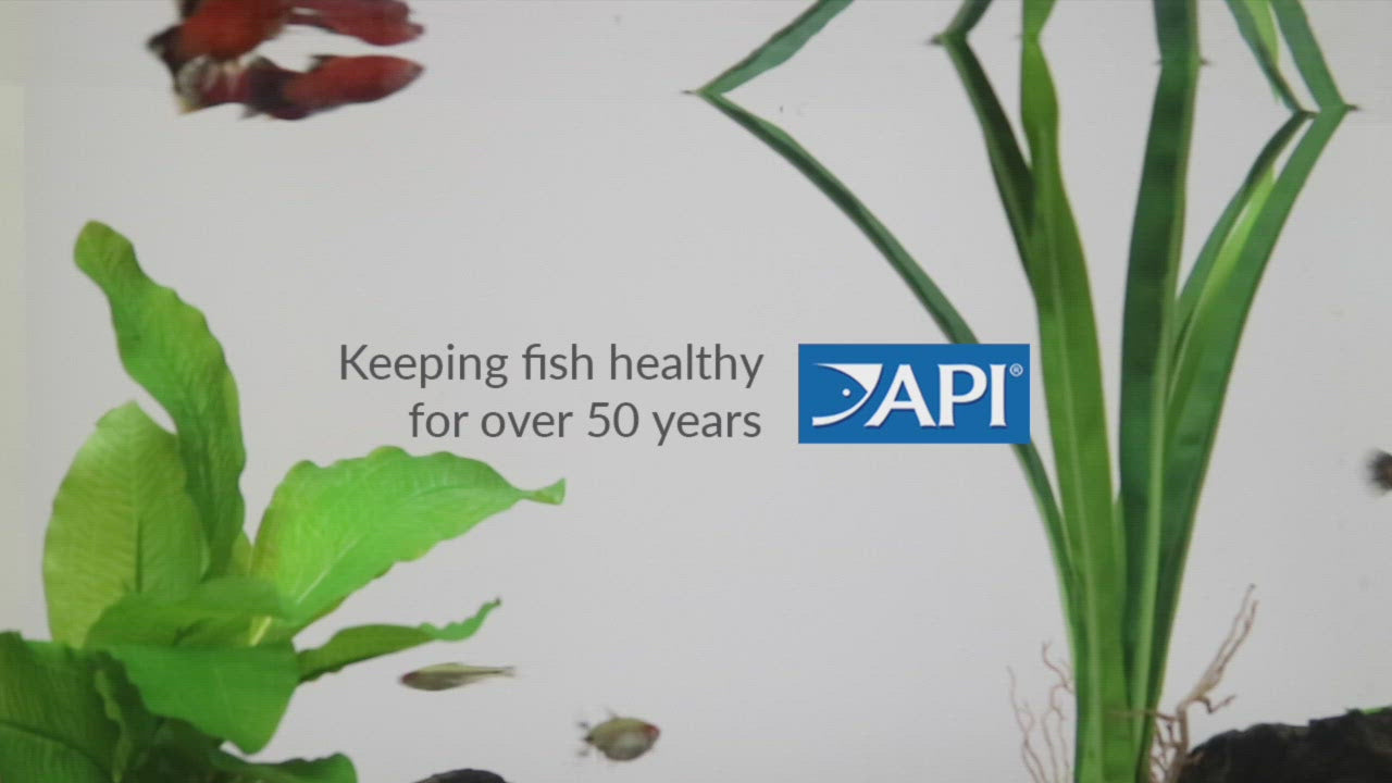 API Test Kit for Freshwater Fish Tank | Tropical Fish Tank