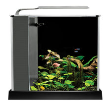Fluval Spec Aquarium Kit
