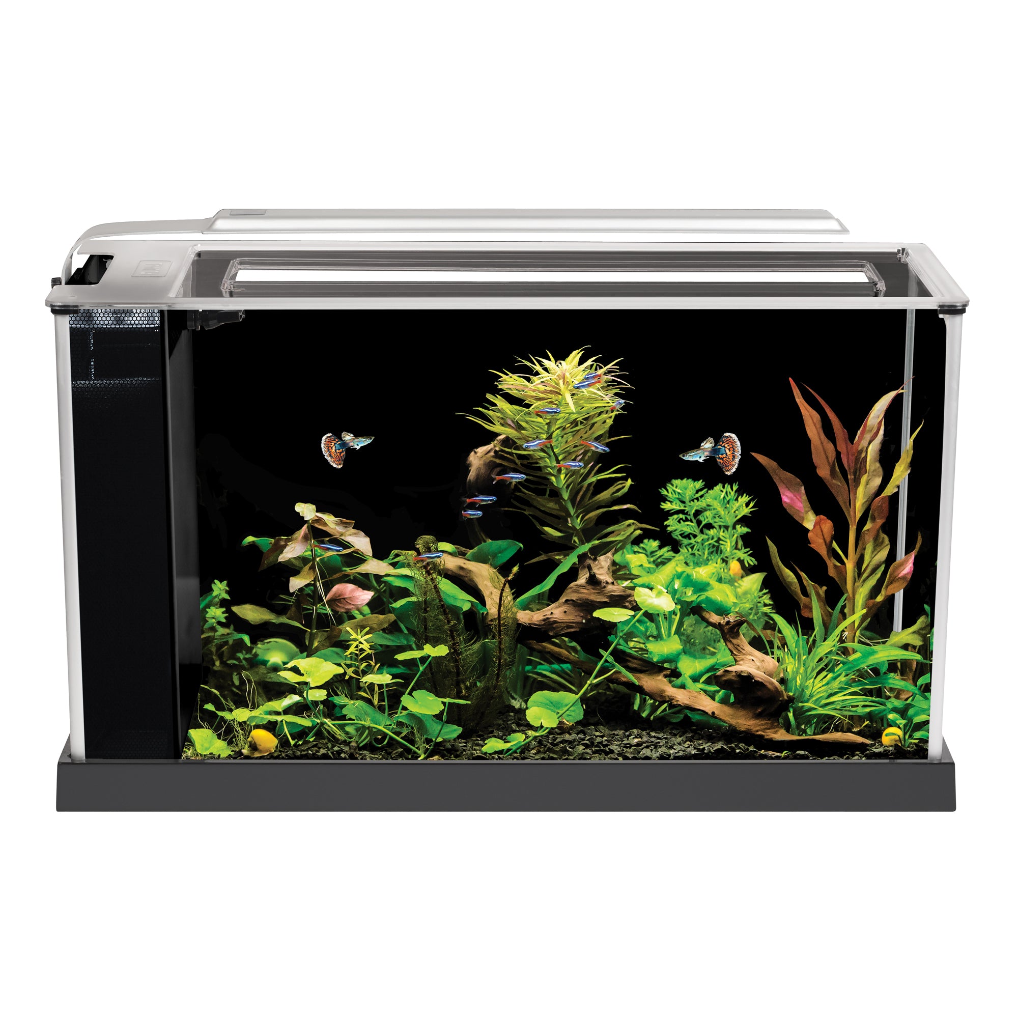 Fluval Spec 16 Gallon Aquarium Fish Tank For Sale | 2.5 Gallon Aquarium | 2.5 Nano Fish Tank | Nano Aquarium Fish Tank | Best Beginner Aquarium Tank for Betta Fish | Best Beginner Fish Tank for Nano Fish
