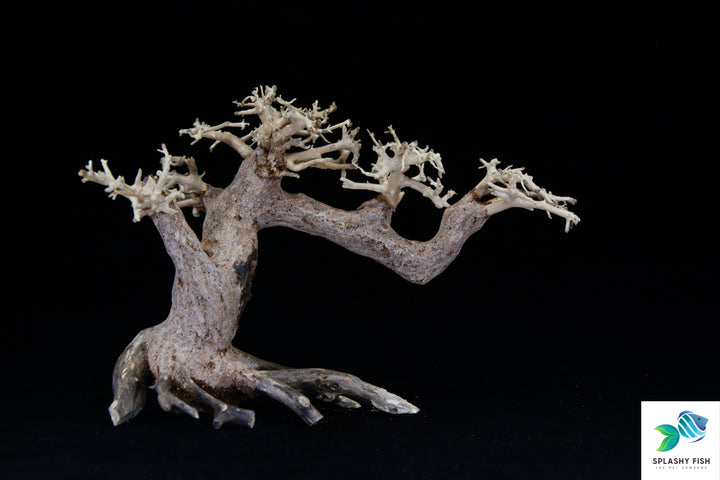 Driftwood For Aquariums For Sale | Aquarium Bonsai Tree for fish tank driftwood  | live plants betta fish | aquarium driftwood sale | driftwood for sale for aquariums aquarium bonsai | bonsai in aquarium | | driftwood tree | large aquarium driftwood  | bonsai terrarium