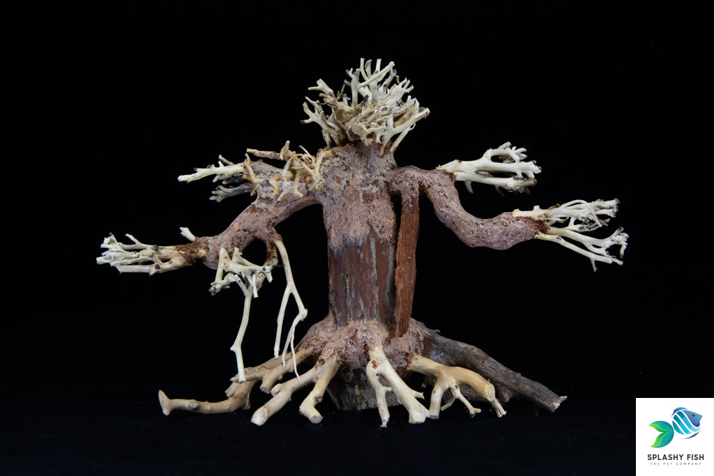 Aquarium Bonsai Tree | Bonsai Driftwood For Sale | driftwood and stone aquascape | driftwood aquarium benefits | driftwood aquarium setup | driftwood buy online | driftwood centerpiece aquarium |  driftwood for 10 gallon tank | driftwood for 5 gallon fish tank | driftwood for nano tank