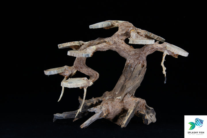 Aquarium Bonsai Trees | Bonsai Driftwood |  driftwood for betta | driftwood tree for aquarium | driftwood trees for sale |  driftwood wholesale |  fake bonsai tree for aquarium | large bonsai driftwood | large driftwood tree for sale | live bonsai tree for aquarium 