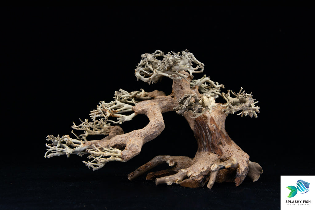 driftwood bonsai tree for aquarium fish tank | driftwood bonsai tree aquarium